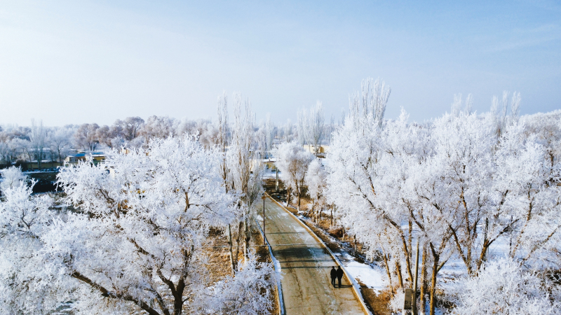 大雪飄然而至，似天仙散花，世界銀裝素裹。