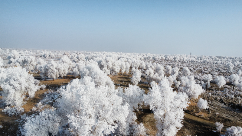 大雪飄然而至，似天仙散花，世界銀裝素裹。