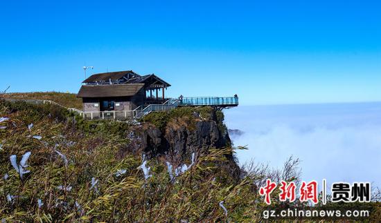 12月23日,游客在贵州省毕节市赫章县阿西里西韭菜坪景区观赏雪景。 12月23日,游客在贵州省毕节市赫章县阿西里西韭菜坪景区观赏雪景。