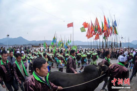 图为苗族同胞在吹芦笙、跳芦笙舞、拉牛旋塘。 图为苗族同胞在吹芦笙、跳芦笙舞、拉牛旋塘。