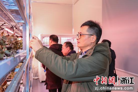 市民代表团参观数字农业产业园。杭州市农业农村局 供图
