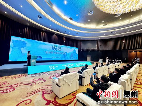 图为会议现场。(主办方供图) 图为会议现场。(主办方供图)