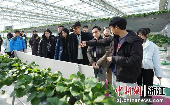 香港学生们参观嘉兴佳莓农业科技有限公司。平湖市委宣传部供图 香港学生们参观嘉兴佳莓农业科技有限公司。平湖市委宣传部供图