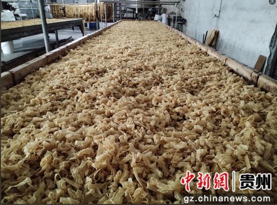 切割好的豆腐皮 切割好的豆腐皮