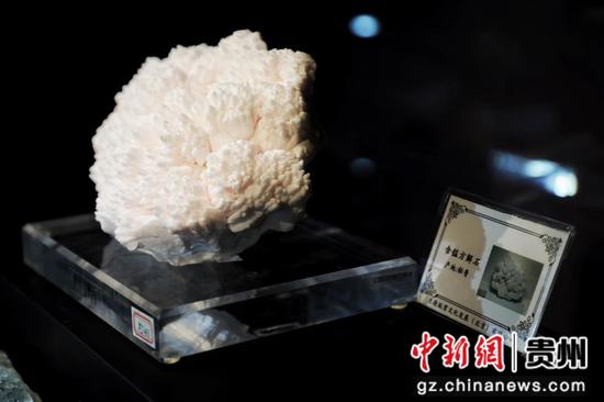 展览上的各色宝石、矿石 展览上的各色宝石、矿石