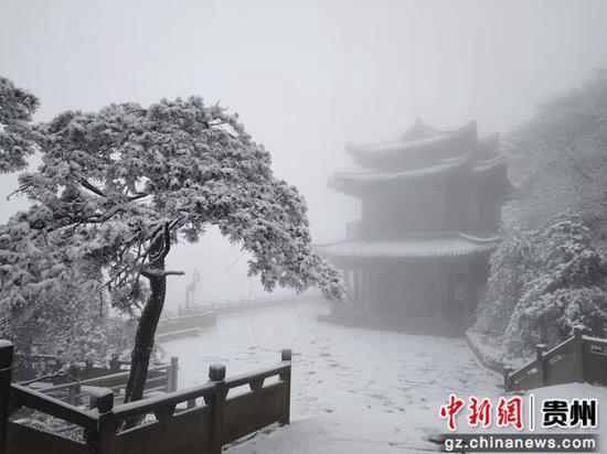 1月9日凌晨,贵州省遵义市汇川区迎来2025年的第一场雪。田坤举 摄