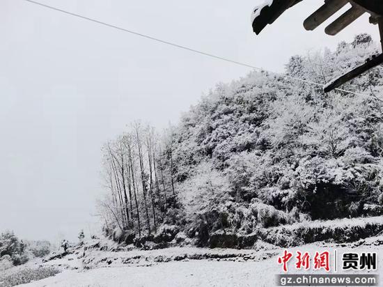 1月7日至9日,沿河土家族自治县出现雨雪凝冻天气过程,晶莹剔透的冰凌挂满枝头。陈丹 摄