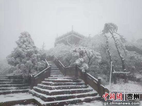 1月9日凌晨,贵州省遵义市汇川区迎来2025年的第一场雪。田坤举 摄