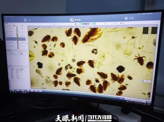 水生态监测用上“黑科技”