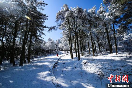 贵州省六盘水市近日迎来雪后初霁,位于六盘水市水城区的玉舍国家森林公园出现了壮美的雾淞景观,众多游客趁着晴好天气,纷纷前往玉舍国家森林公园内的玉舍雪山滑雪场滑雪游玩、观赏雾凇。图为1月12日,游客在玉舍国家森林公园观看雾凇景观。赵桦 摄 贵州省六盘水市近日迎来雪后初霁,位于六盘水市水城区的玉舍国家森林公园出现了壮美的雾淞景观,众多游客趁着晴好天气,纷纷前往玉舍国家森林公园内的玉舍雪山滑雪场滑雪游玩、观赏雾凇。图为1月12日,游客在玉舍国家森林公园观看雾凇景观。赵桦 摄