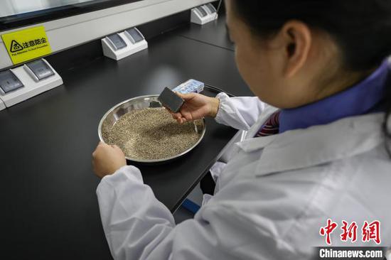 1月24日，贵州省贵阳市，“化验工”杨玉玺在检查火车头制动机砂。中新社记者 瞿宏伦 摄