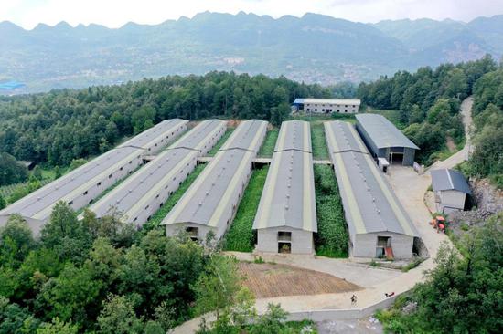 习水县富兴牧业种羊场—黔北麻羊扩繁区。