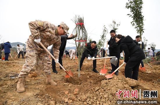 2月5日，贵阳市南明区组织干部职工在永乐乡石塘村开展植树活动。