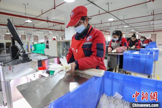 图为工人将未加工的毛片放入筛选设备。中新社记者 瞿宏伦 摄