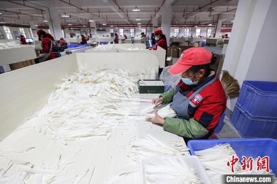 图为工人在筛选未加工的毛片。中新社记者 瞿宏伦 摄
