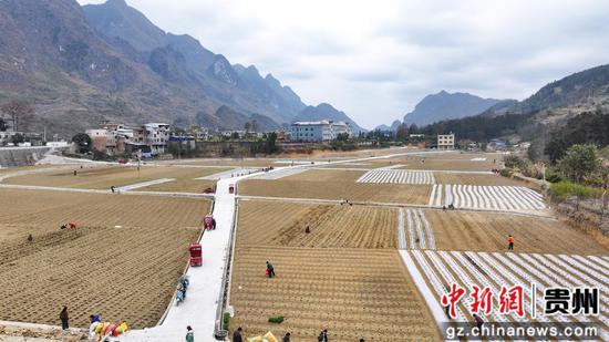 罗甸县边阳镇兴隆村蔬菜种植基地一角。 罗甸县边阳镇兴隆村蔬菜种植基地一角。