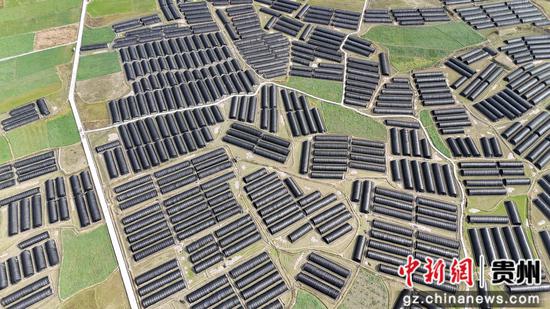 剑南农科技有限公司羊肚菌种植基地航拍图。彭开燚 摄 剑南农科技有限公司羊肚菌种植基地航拍图。彭开燚 摄