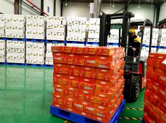 冷链物流园区工作场景