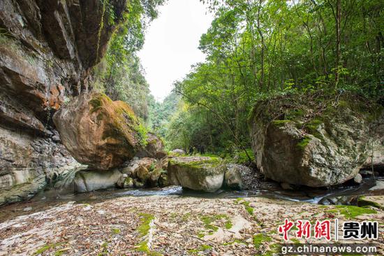 这是2月26日在贵州省道真仡佬族苗族自治县河口镇拍摄的大峡谷景色。 这是2月26日在贵州省道真仡佬族苗族自治县河口镇拍摄的大峡谷景色。
