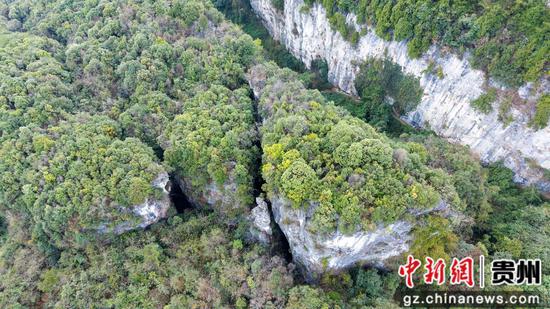 这是2月26日在贵州省道真仡佬族苗族自治县河口镇拍摄的大峡谷景色(无人机照片)。 这是2月26日在贵州省道真仡佬族苗族自治县河口镇拍摄的大峡谷景色(无人机照片)。