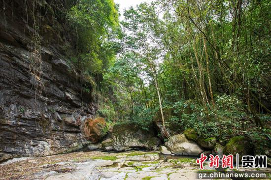 这是2月26日在贵州省道真仡佬族苗族自治县河口镇拍摄的大峡谷景色。 这是2月26日在贵州省道真仡佬族苗族自治县河口镇拍摄的大峡谷景色。