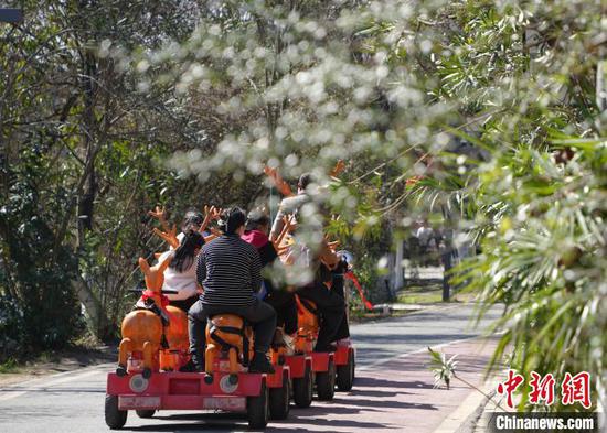 2月27日市民在贵阳市花溪公园游玩。周燕玲 摄