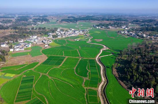 2月27日航拍黔西市金碧镇高标准农田种植的小麦，长势良好、绿意盎然。史开心 摄