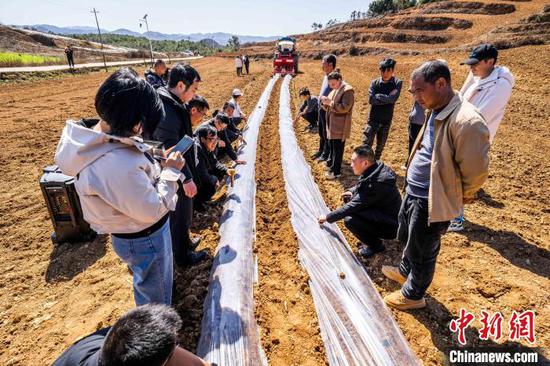 图为专家为民众讲解机械化种植马铃薯的优点。罗大富 摄 图为专家为民众讲解机械化种植马铃薯的优点。罗大富 摄