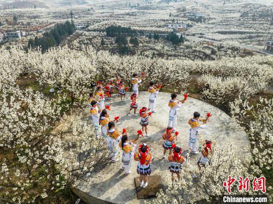 图为当地青年在纳雍县厍东关乡陶营村的樱花园里表演。罗大富 摄 图为当地青年在纳雍县厍东关乡陶营村的樱花园里表演。罗大富 摄
