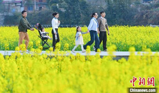 图为游人在从江县洛香镇上皮林村的油菜花海中游玩。卢忠南 摄 图为游人在从江县洛香镇上皮林村的油菜花海中游玩。卢忠南 摄