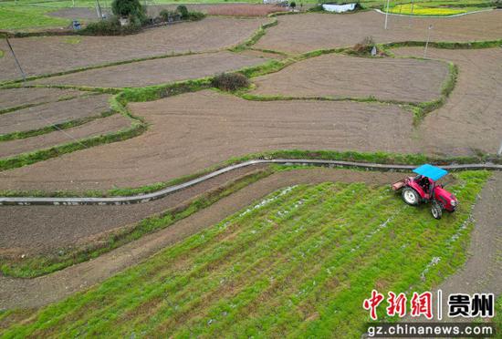 2025年3月5日,贵州省道真仡佬族苗族自治县三桥镇塘村村股份经济合作社社员利用大型农机翻犁土地。
