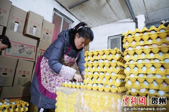 工人正在摆放鸡蛋 工人正在摆放鸡蛋