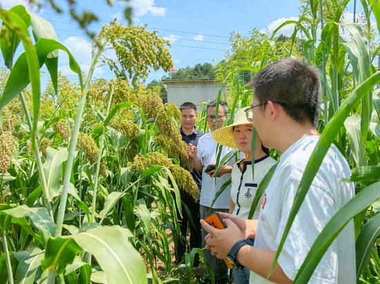 农业科技示范基地