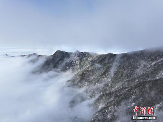 图为在梵净山拍摄的雪景。
