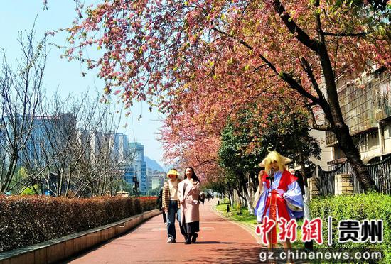 六盘水水城河畔鲜花盛开