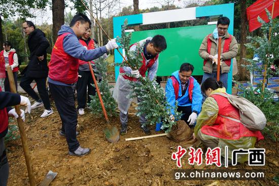 图为义务植树活动现场。工行广西分行 供图