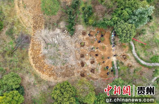 3月12日,贵州大沙河国家级自然保护区工作人员,在道真自治县珍稀濒危植物展示园移栽银杉、篦子三尖杉、珙桐苗(无人机照片)。 3月12日,贵州大沙河国家级自然保护区工作人员,在道真自治县珍稀濒危植物展示园移栽银杉、篦子三尖杉、珙桐苗(无人机照片)。