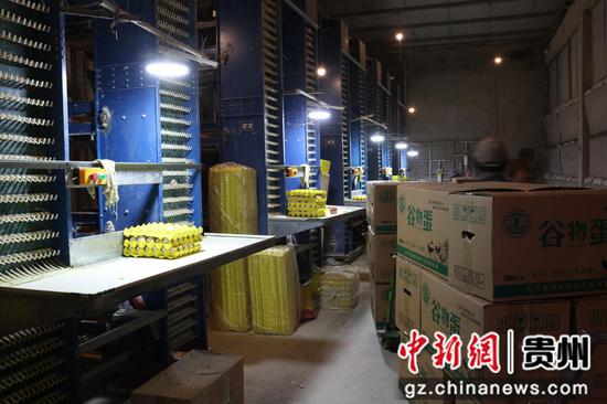 智慧养鸡 智慧养鸡