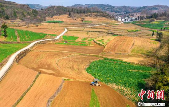 长堰社区的村民驾驶农机翻耕土地(无人机照片)。史开心 摄 长堰社区的村民驾驶农机翻耕土地(无人机照片)。史开心 摄