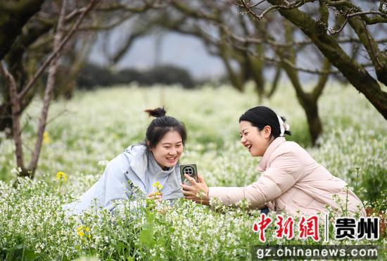3月12日，游客在贵阳市南明区永乐乡干井村赏花游玩。