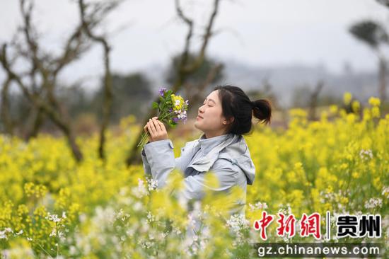 3月12日，游客在贵阳市南明区永乐乡干井村赏花游玩。