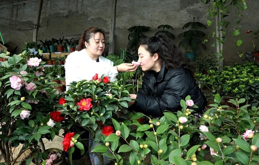 莎車縣：花市春意濃 群眾花樣迎春天