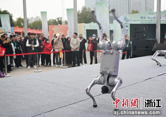 图为:机器狗进行倒立、后空翻等表演带动活动现场氛围。中新社记者 王刚 摄