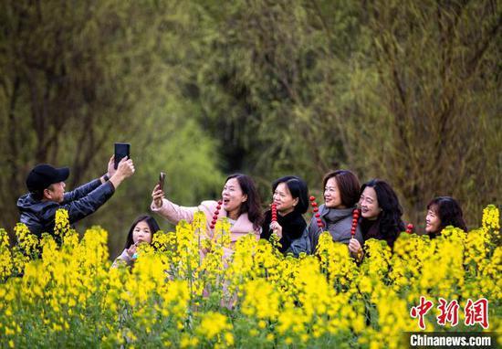 图为3月15日游客在赏花拍照。史开心 摄 图为3月15日游客在赏花拍照。史开心 摄
