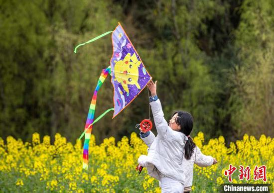 图为3月15日游客在油菜花田旁放风筝。史开心 摄 图为3月15日游客在油菜花田旁放风筝。史开心 摄