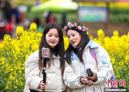 图为3月15日当地网络达人在油菜花田旁直播。史开心 摄 图为3月15日当地网络达人在油菜花田旁直播。史开心 摄