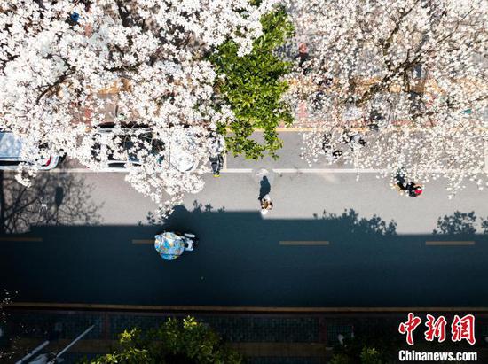 http://www.chinanews.com.cn/tp/2025/03-19/10385548.shtml http://www.chinanews.com.cn/tp/2025/03-19/10385548.shtml