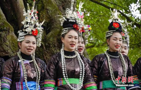 贵州榕江县侗族同胞在古榕树下唱侗族大歌。周光胜 摄