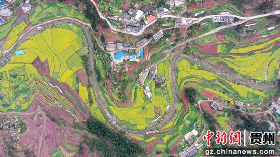 航拍大景（罗金 摄）