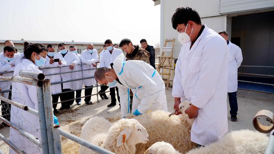 37dfda81eecf8d4ebee5d901a047ed7